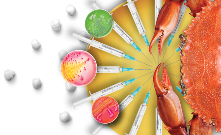 Our-Company-foreground-image-450x275